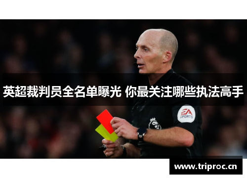 英超裁判员全名单曝光 你最关注哪些执法高手